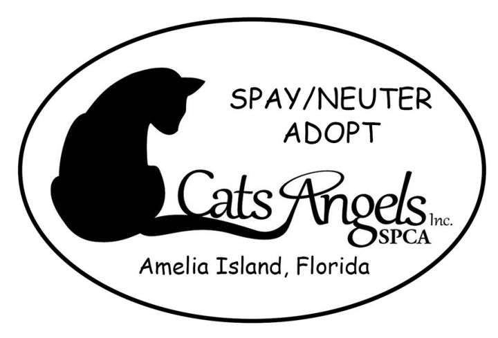 Pets for Adoption at Cats Angels, Inc. SPCA, in Fernandina ...