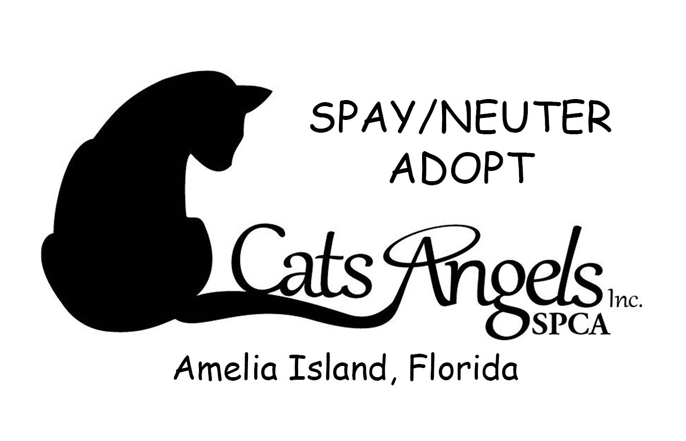 Cats Angels, Inc. SPCA