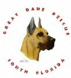 Great Dane Rescue of South Florida - Petfinder