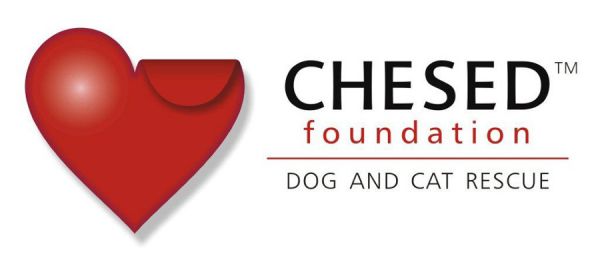 Chesed Foundation Inc.