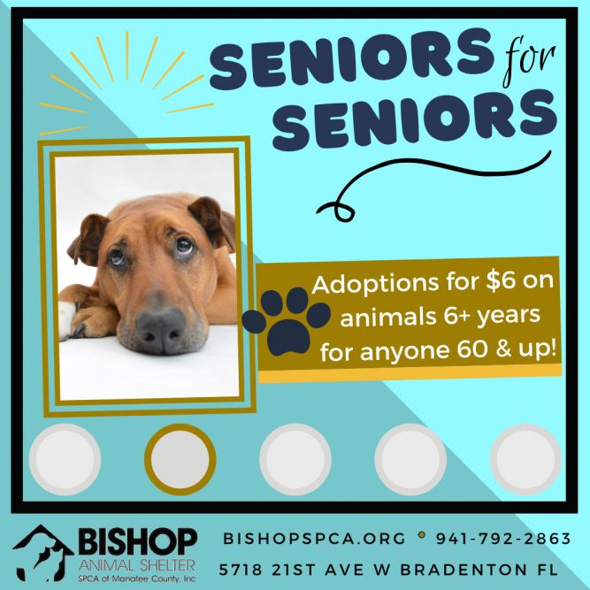 Bishop Animal Shelter SPCA of Manatee County