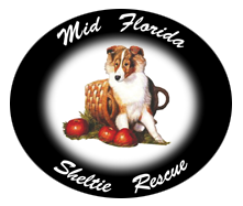 Mid Florida Sheltie Rescue