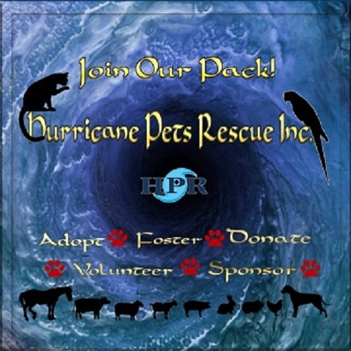 Hurricane Pets Rescue Inc.