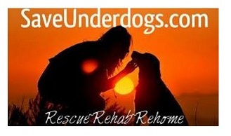 Save UnderDogs
