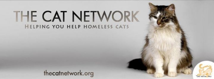 Helping you help community cats