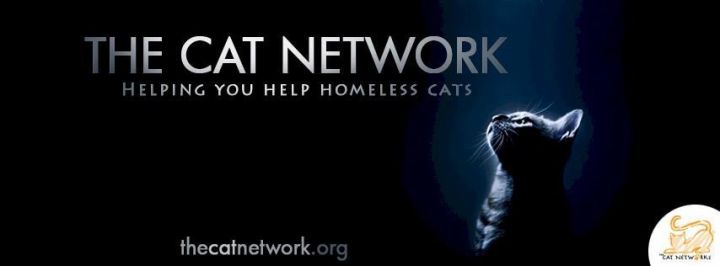Helping you help community cats