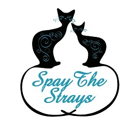 Spay the Strays Cat Rescue...since 2006.