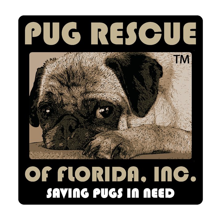 small pug rescue