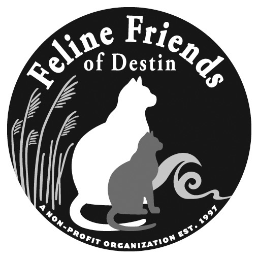 Feline Friends of Destin