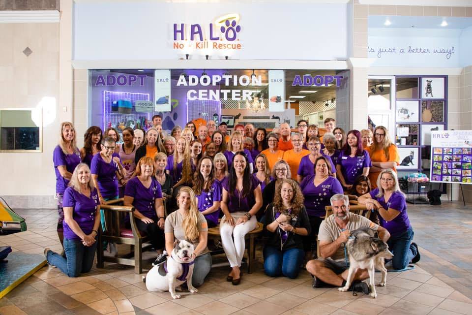 H.A.L.O. No Kill Rescue