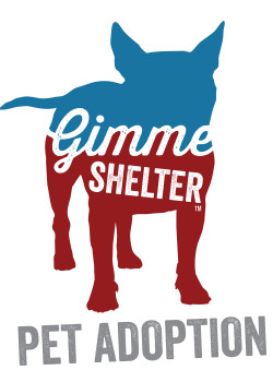 Pets for Adoption at GIMME SHELTER PET ADOPTION, in Sarasota, FL ...