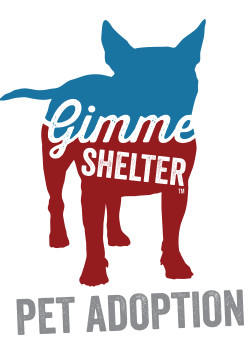 GIMME SHELTER PET ADOPTION