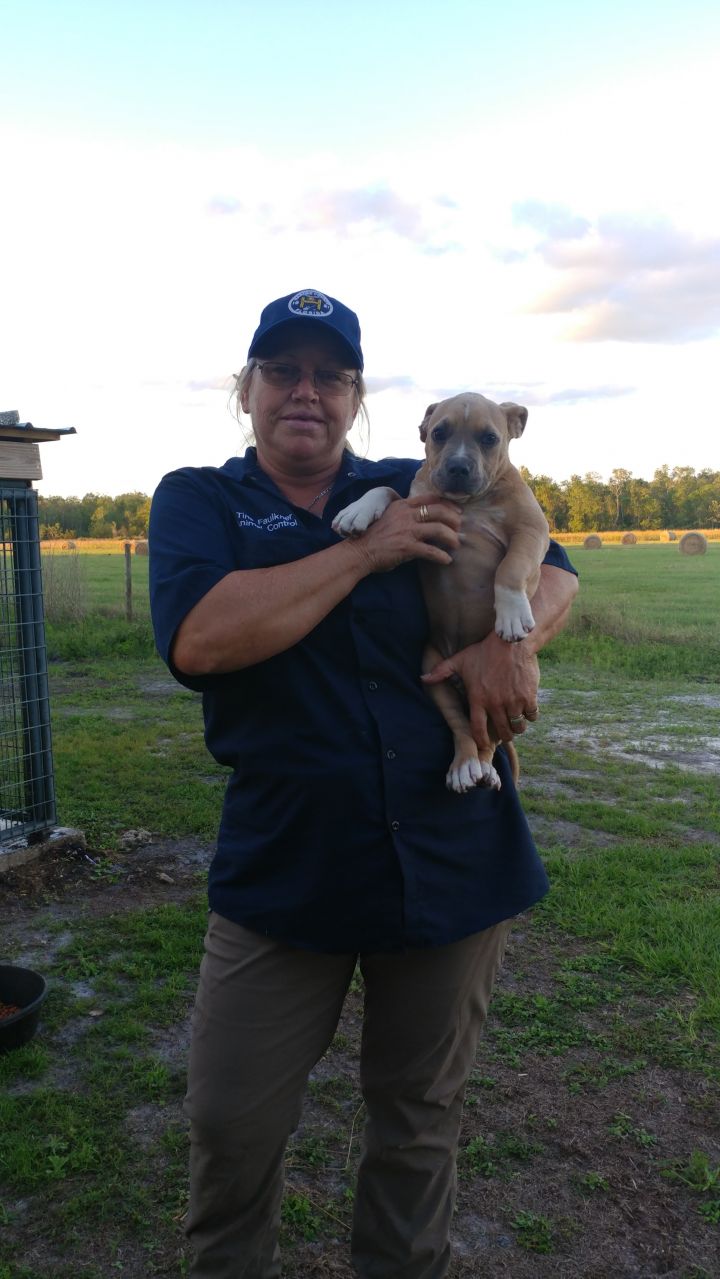 Kennel Attendant-Tina