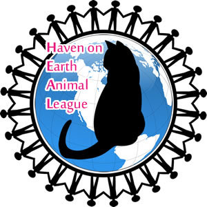 Haven on Earth Animal League Inc.