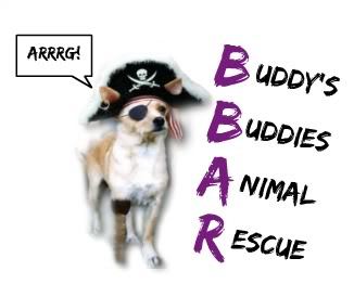Buddy's Buddies Animal Rescue, Inc.