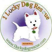 Welcome to 1 Lucky Dog Rescue Inc