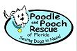 Poodle and Pooch Rescue