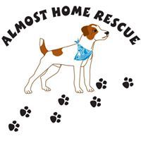 Almost Home Rescue of FL