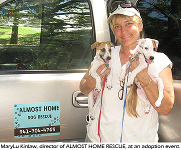 45 Best Pictures Almost Home Pet Rescue Illinois - Almost Home Pet Rescue - Home | Facebook