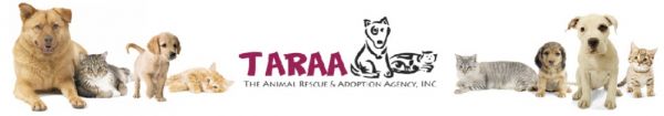 The Animal Rescue & Adoption Agency (TARAA)