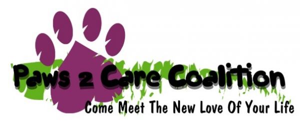 Paws 2 Care Coalition