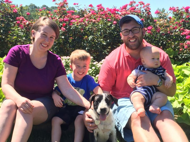 Finding perfect forever families!