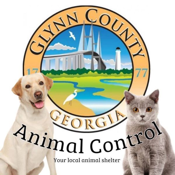 Glynn County Animal Services