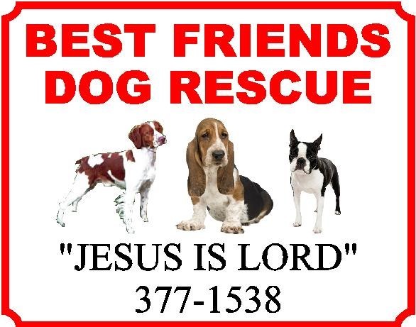 Best Friends Dog Rescue