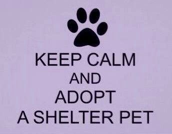 Lee County Animal Shelter