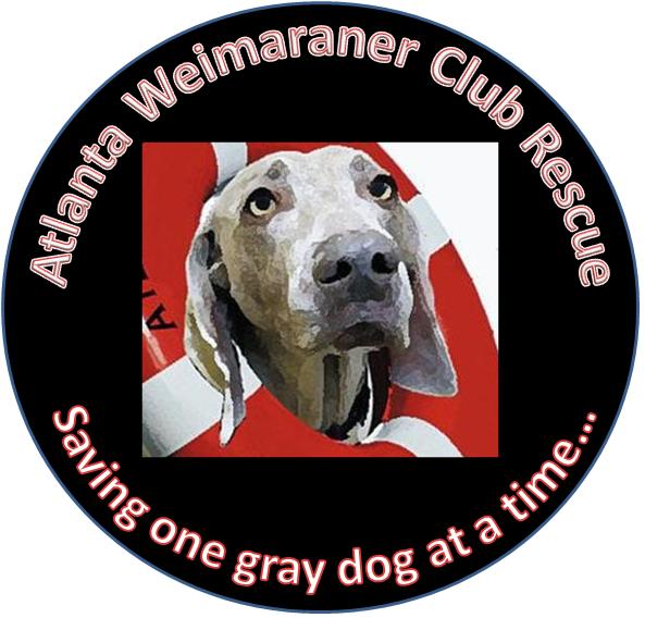 Atlanta Weimaraner Club Rescue