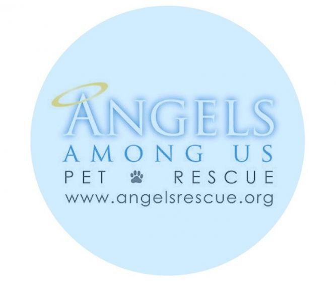 Angels Among Us Pet Rescue, Inc.
