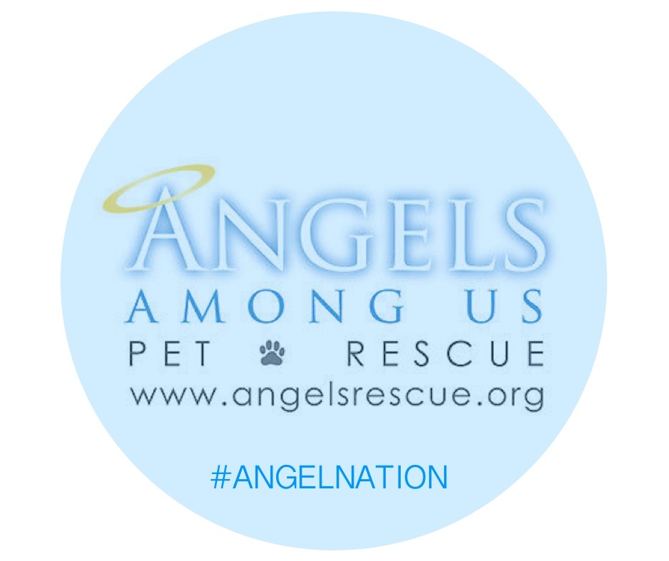 Angels Among Us Pet Rescue, Inc.