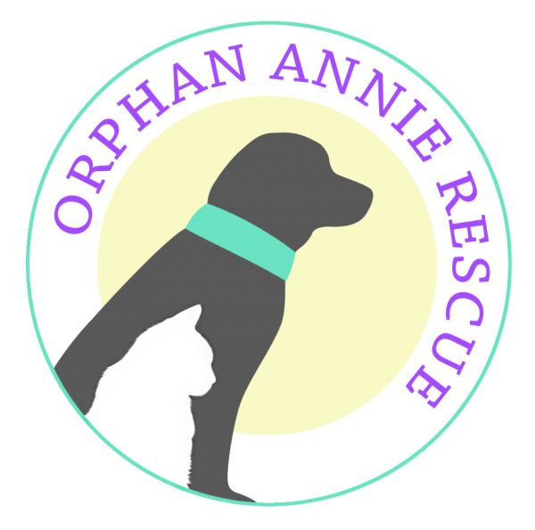 Orphan Annie Rescue