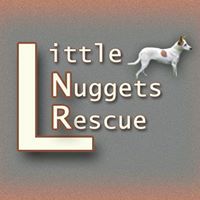 Little Nuggets Rescue
