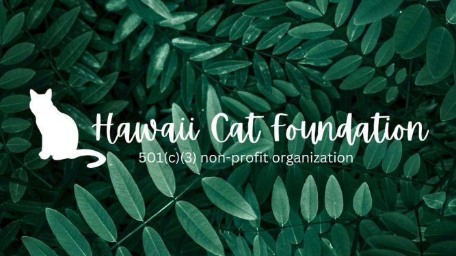 Hawaii Cat Foundation