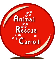 Animal Rescue of Carroll