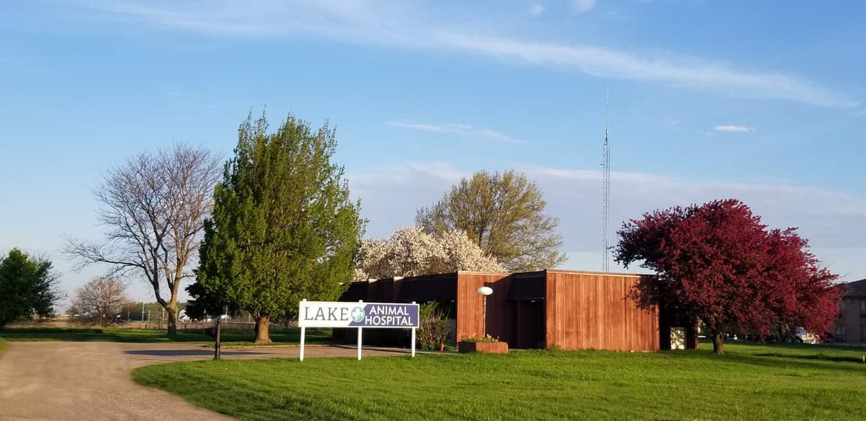 Lake Animal Hospital / Shelter