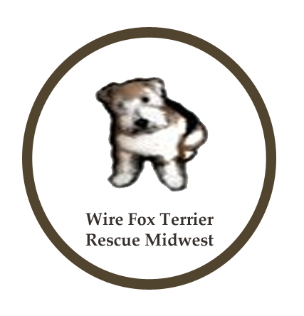 WIRE FOX TERRIER RESCUE MIDWEST