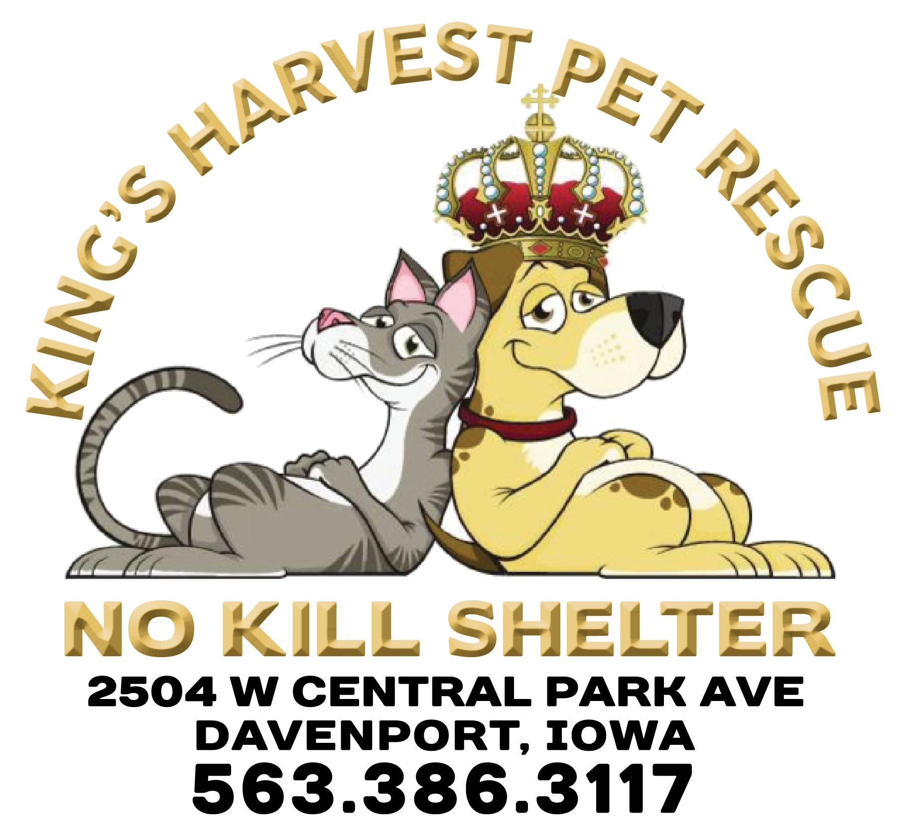 Pets For Adoption At King S Harvest Pet Rescue No Kill Shelter In Davenport Ia Petfinder