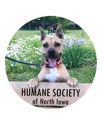 Welcome to the Humane Society of North Iowa!