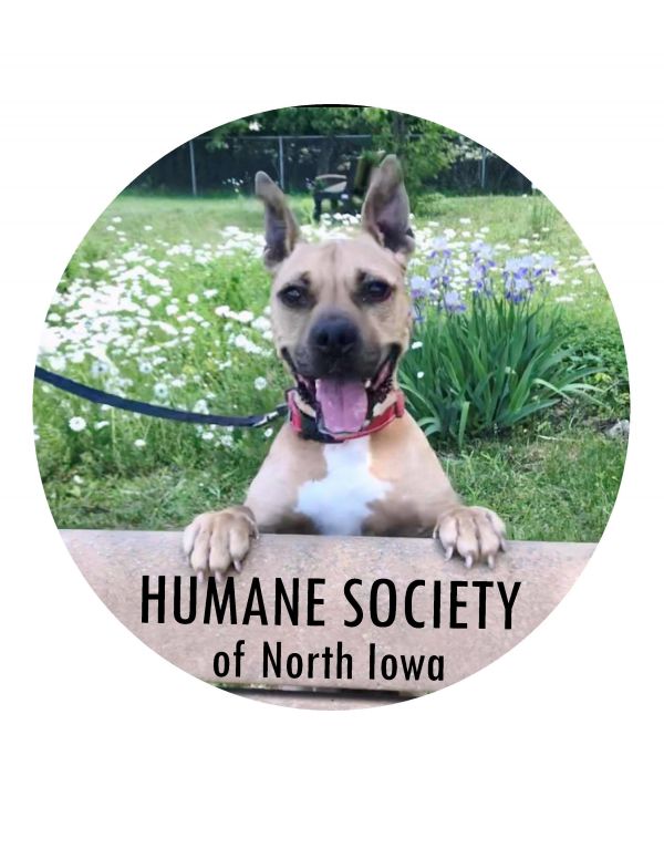 Humane Society of North Iowa