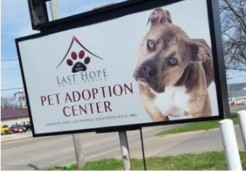 Pets for Adoption at Last Hope Animal Rescue, Inc., in Cedar Rapids, IA