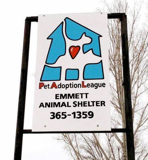 Pet Adoption League