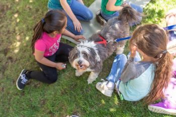 Mountain store humane dogs