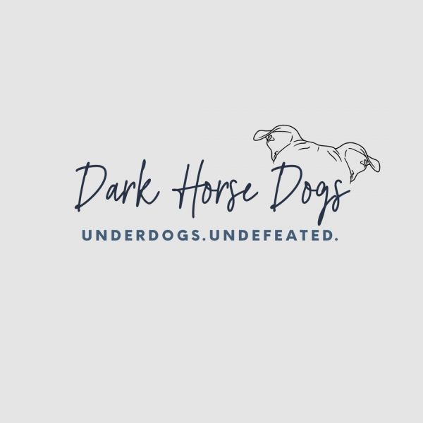 Dark Horse Dogs, NFP