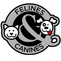 Felines & Canines