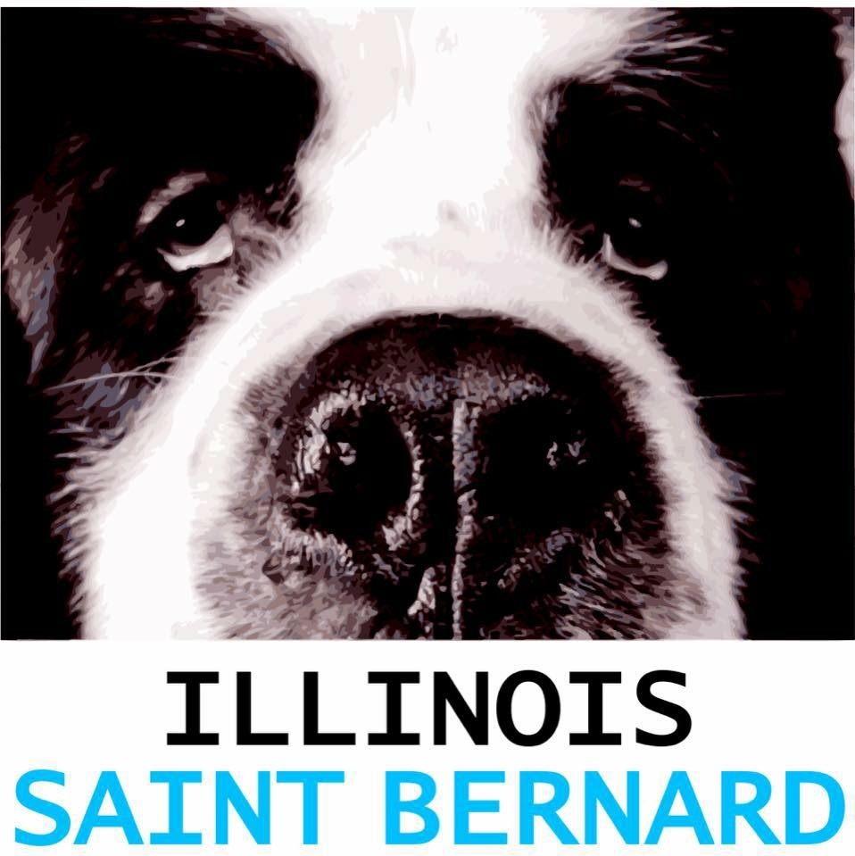 Illinois Saint Bernard Rescue