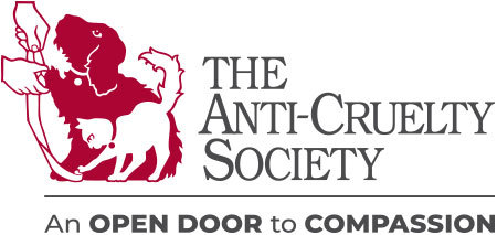 The Anti-Cruelty Society