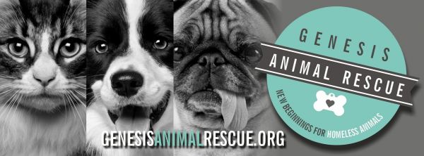 Genesis Animal Rescue