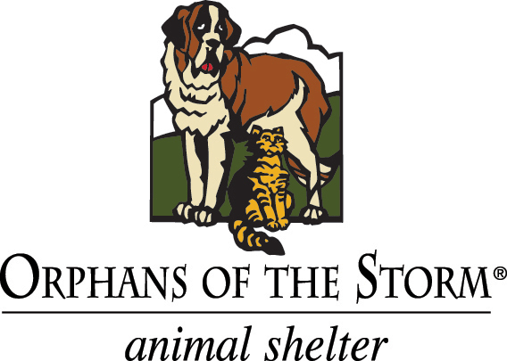 Orphans of the sales storm dogs